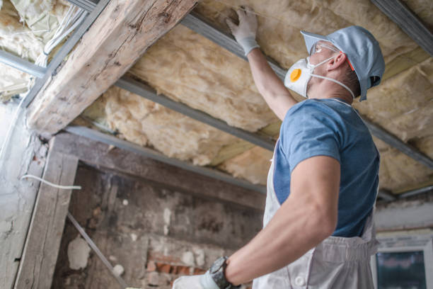 Best Types of Insulation in East Bakersfield, CA